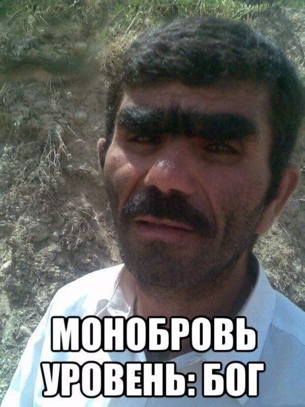 Приколы