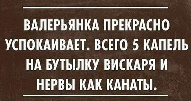 ЭТИ ФРАЗЫ НЕСОМНЕННО ПОДНИМУТ ВАШЕ НАСТРОЕНИЕ