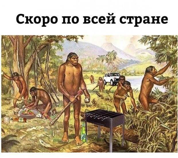 Дачное