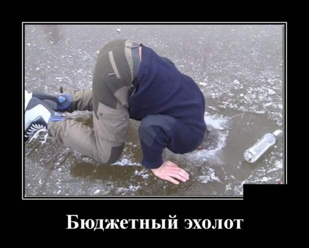 Демотиваторы