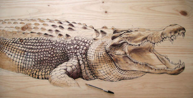 Крокодил (ручка, тушь) живопись, художник, экология