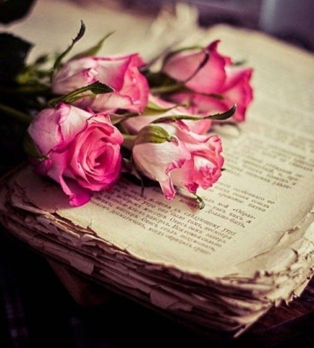 Год в цветах книга. Книга цветы. Красивые книги. Книга с цветами.