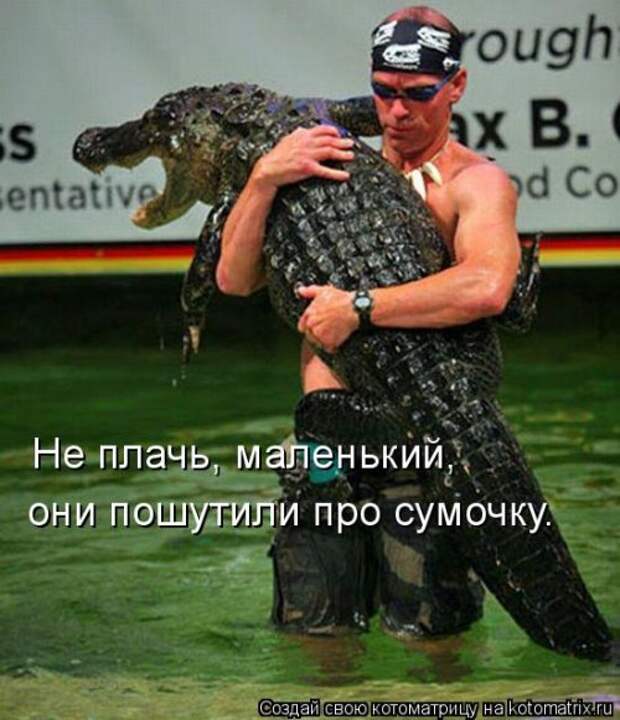 Воскресная котоматрица (16 шт)