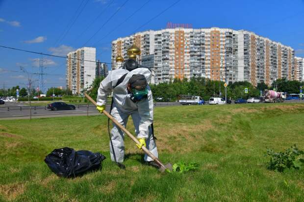 Фото Дениса Афанасьева