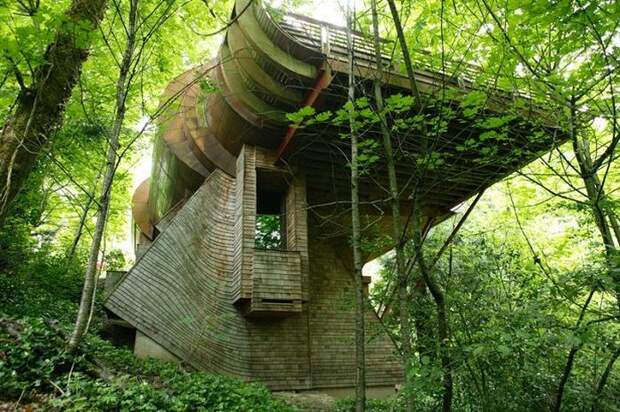 Сказочный домик в лесу (15 фото)