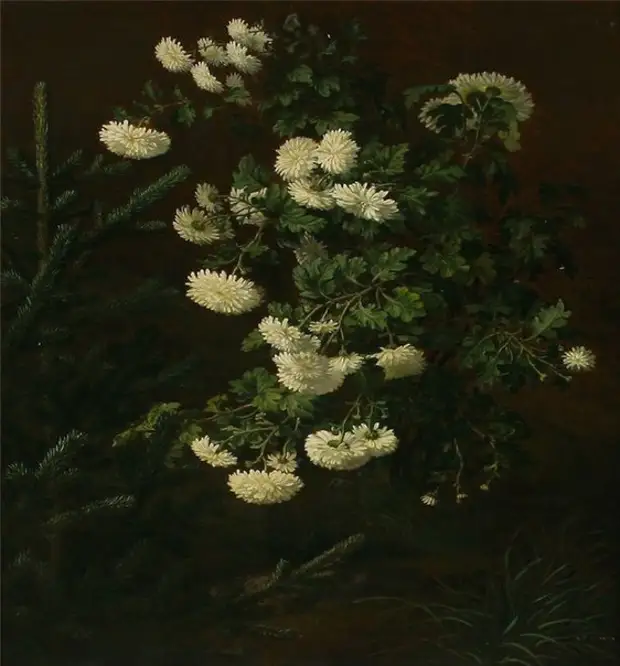   Clara Krger von Sivers (1854 - 1924)