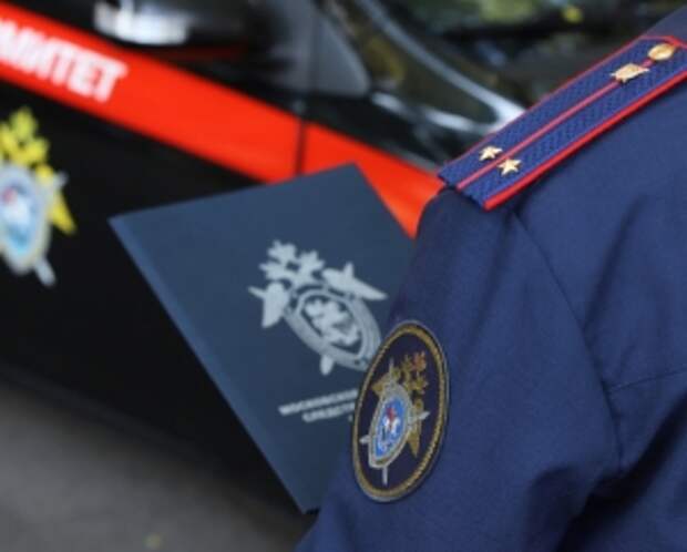 Главе ведомства будет представлен доклад о расследовании обстоятельств совершения противоправных действий в отношении несовершеннолетней в Приморском крае