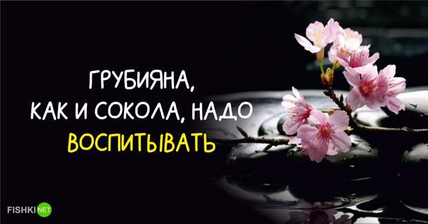 20 мудрых японских поговорок (продолжение)