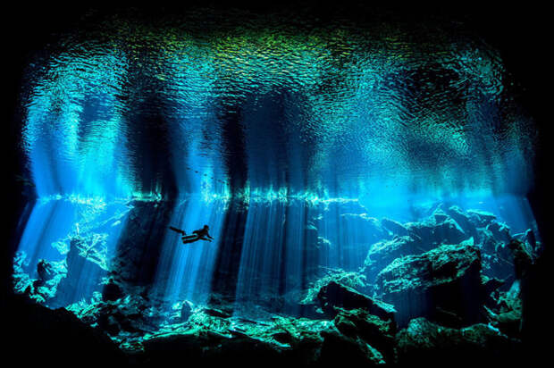 Ник Блейк (Nick Blake) и его фото подводного сенота на полуострове Юкатан, Мексика Underwater Photographer of the Year, животные, под водой, фото