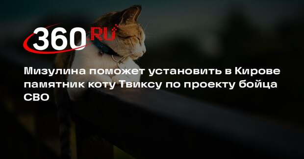 Мизулина обратится к РЖД и кировским властям для установки памятника коту Твиксу