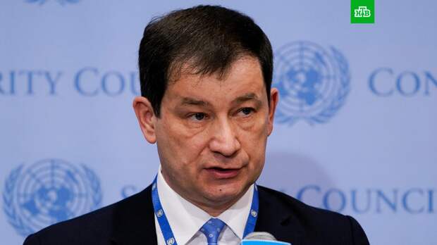 Полянский назвал дезинформацией заявления о поставках беспилотников Ирана в РФ