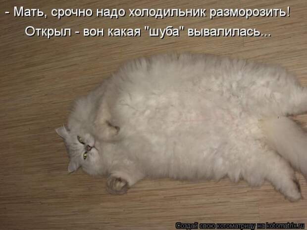 Лучшие котоматрицы недели Лучшие котоматрицы недели
