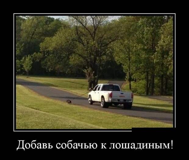 www.vsyako.net