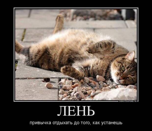 Новый выпуск 534: Классные и улётные демотиваторы (26 фото) Новый выпуск 534: Классные и улётные демотиваторы (26 фото)