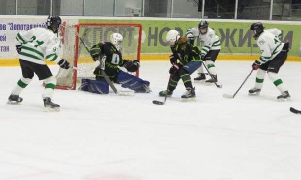 Хоккейная команда «УЛК» с триумфом вернулась с «Золотой шайбы»