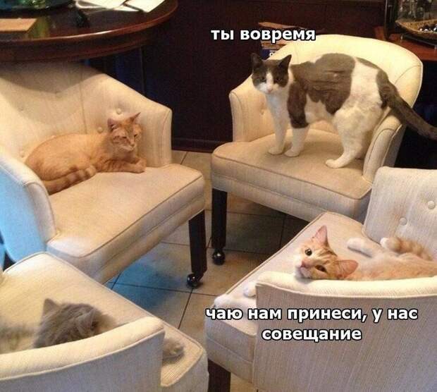 00Q1OQYPWsAEAhVB (700x627, 96Kb)