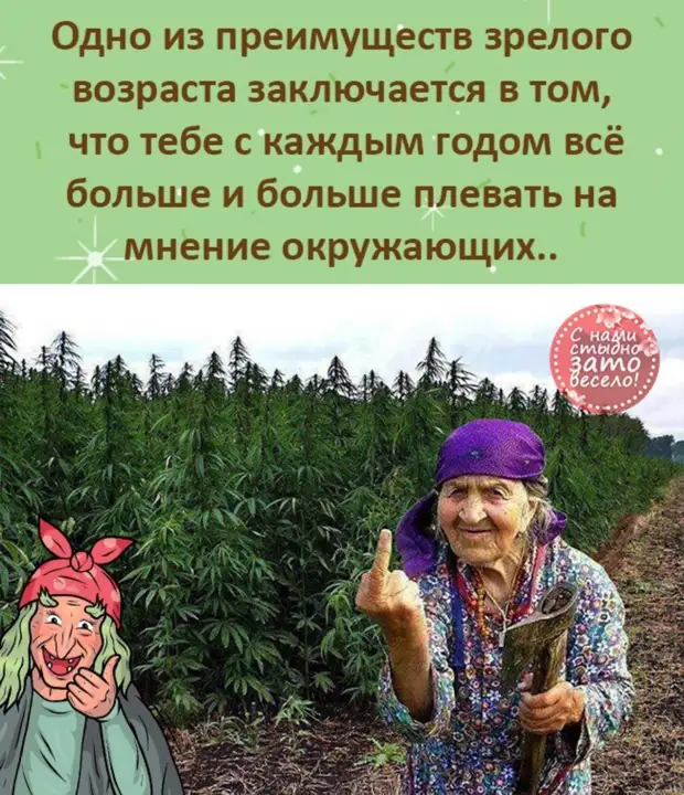 Два бомжа после новогоднего праздника обмениваются впечатлениями...