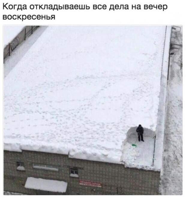 Новые фотомемы на Бугаге (23 шт)