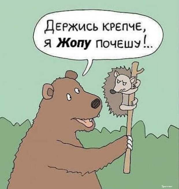 Чернушенция