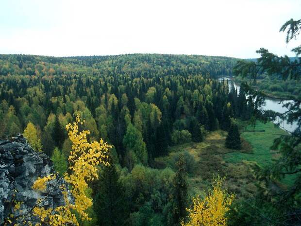 В верховьях реки Уньи. Печоро-Илычский заповедник. Республика Коми. Фото