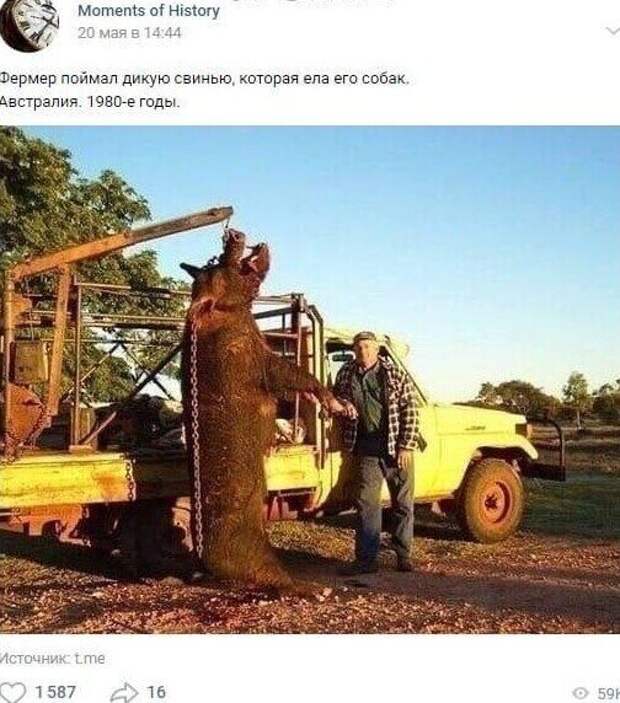 По мотивам группы ВК "Ложь пабликов" По мотивам группы ВК "Ложь пабликов"