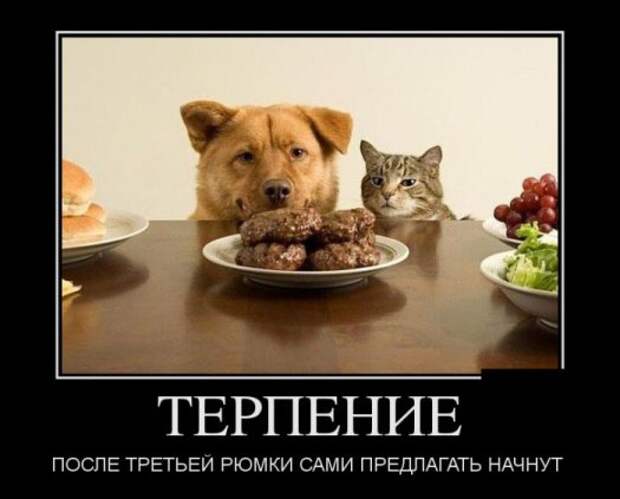 Демотиваторы 19.11.13