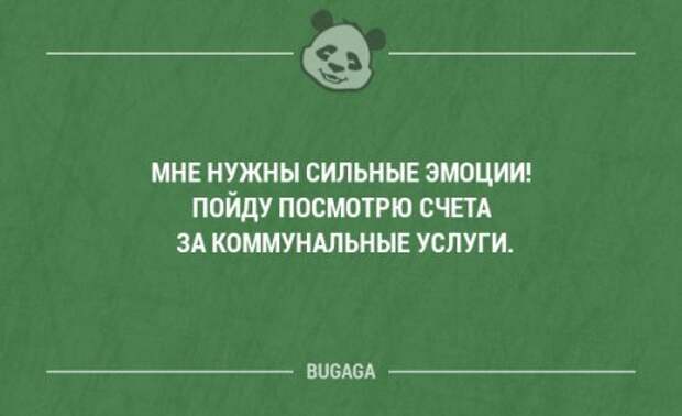 Прикольные фразы и забавные мысли. Часть 100 (20 шт)