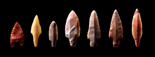 Ровесник пирамиды Хеопса: в Подмосковье обнаружен уникальный некрополь возрастом 4,5 тысячи лет