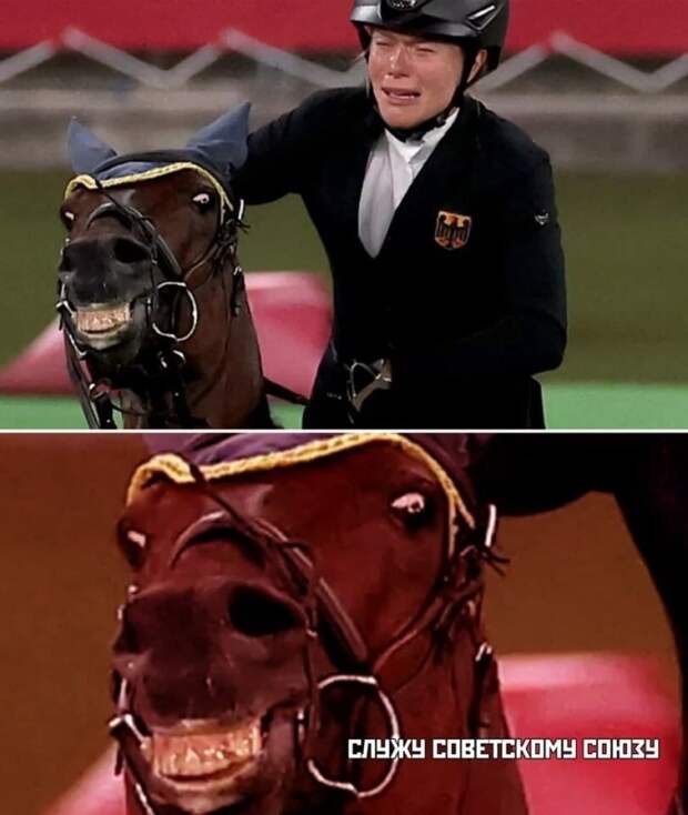 Лошадь отказалась ехать
