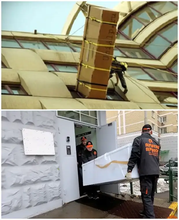 Скрытые достоинства. Зеркало силуэт. Юридический статус сми. Arlight 032416. Самооценка.