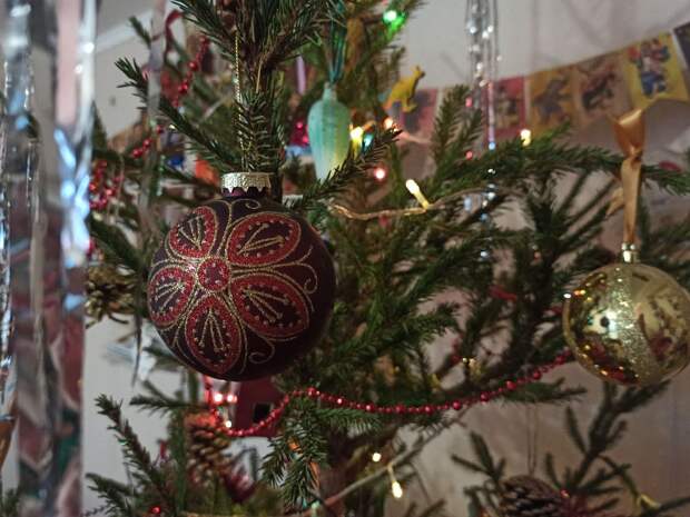 Эколог назвала способы правильной утилизации новогодних ёлок