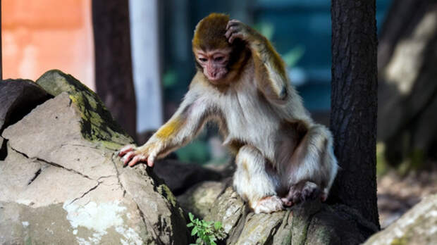 Красота неописуемая