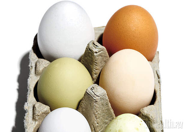Фото 1 - Правда о куриных яйцах: 3 факта, которые ты должен знать