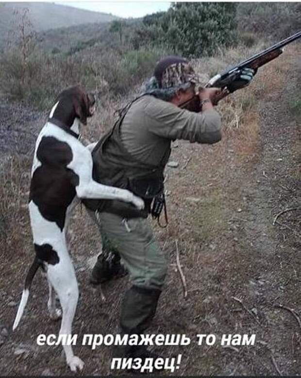 Чернушенция