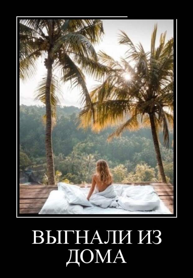 Демотиваторы (30 фото)