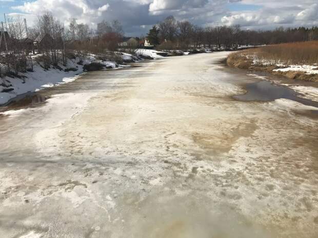 Синоптик Тишковец предсказал «первую пробу» весны в Центральной России
