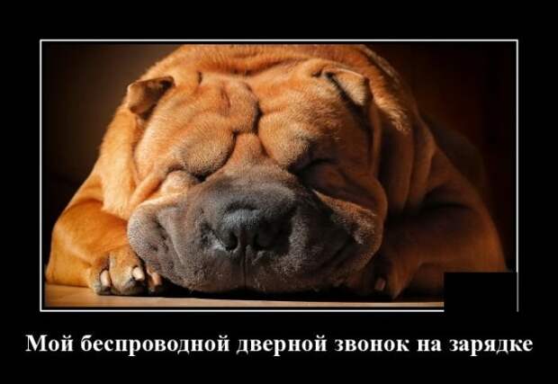 Демотиваторы (20 фото)