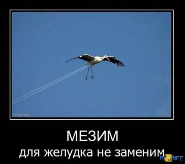 Позитивные демотиваторы про животных (20 фото) Позитивные демотиваторы про животных (20 фото)