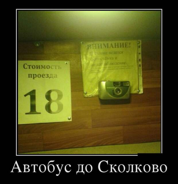Забавные и прикольные демотиваторы на выходные (11 фото)