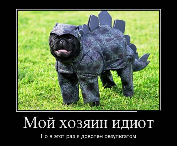 Демотиваторы (20 фото)