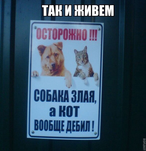 Прикольные и веселые картинки с надписями со смыслом (11 фото) Прикольные и веселые картинки с надписями со смыслом (11 фото)