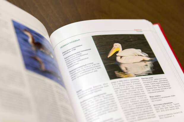 Не просто перечень редких видов: вышло второе издание Красной книги Крыма