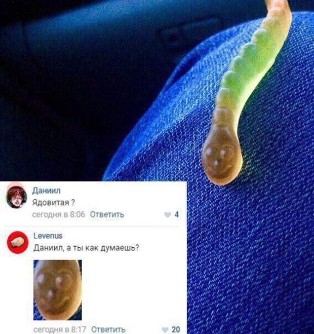 Смешные комментарии из социальных сетей (18 скриншотов)