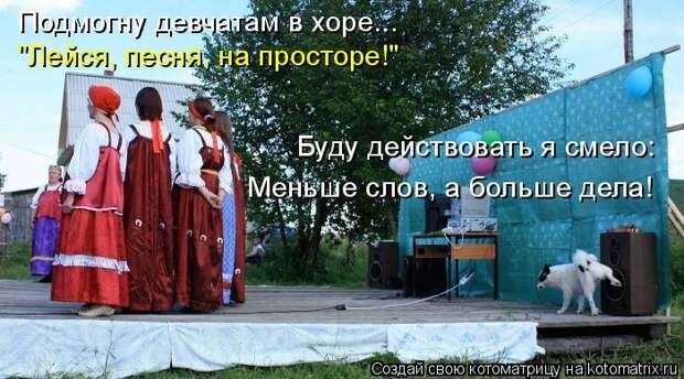 Лучшие котоматрицы недели (50 фото)