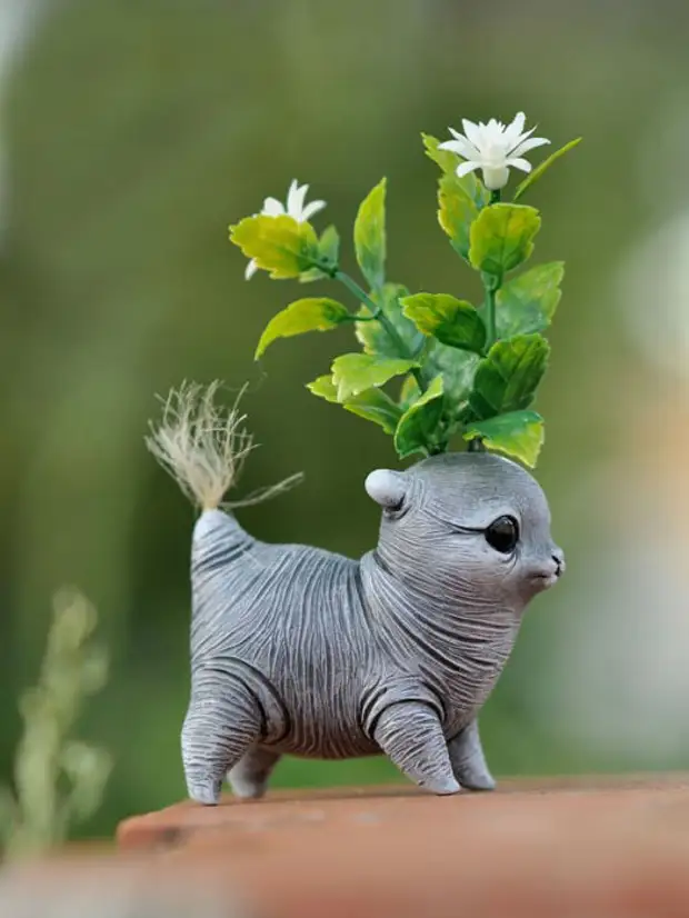 �������������� ��������, �������� ��������� ���������� ���������� ������� �����