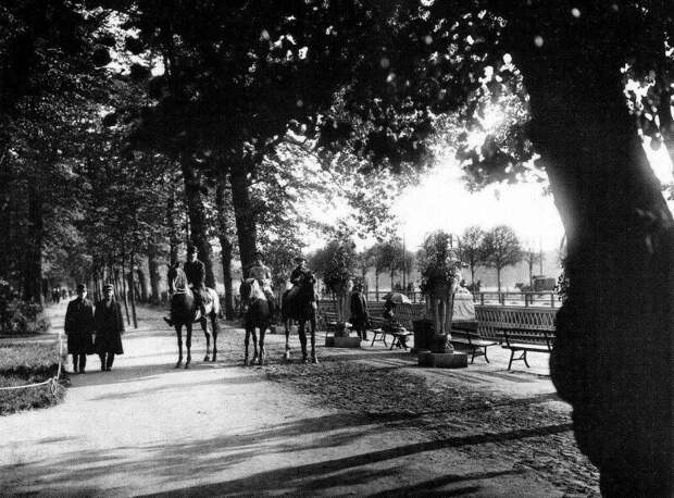 Конные прогулки в Летнем саду, Санкт-Петербург, 1900 год. история, ретро, фото