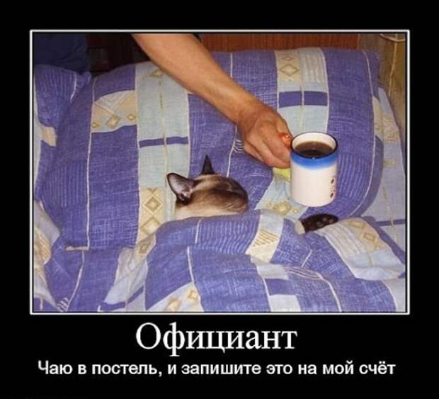 Анекдотики коротенькие, но симпатишные, украшенные картинками Анекдотики коротенькие, но симпатишные, украшенные картинками