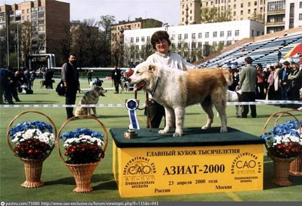 10 атмосферных фото Москвы 2000 года, когда мир был совсем другим