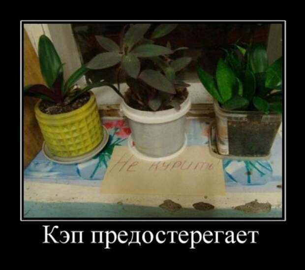 Смешные демотиваторы (18 шт)