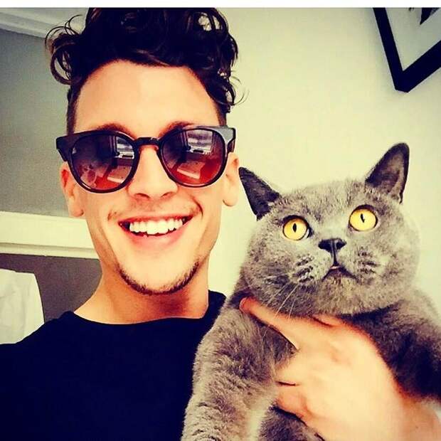 Инстаграм-аккаунт с горячими парнями, которые позируют с кошками, точно поднимет давление у любой девушки животные, кошки, мужчины
